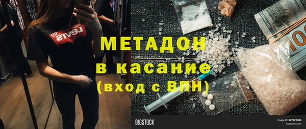 прущие грибы Бородино