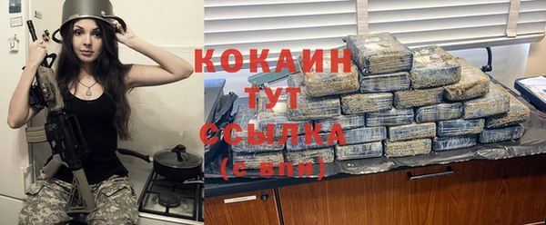 прущие грибы Бородино