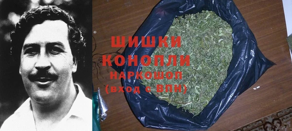 бошки Бронницы