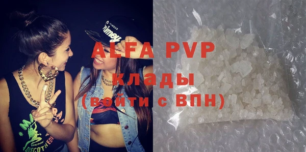 прущие грибы Бородино