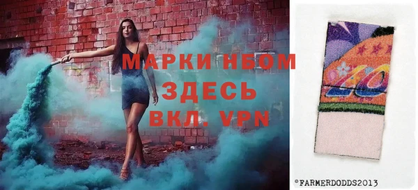 прущие грибы Бородино