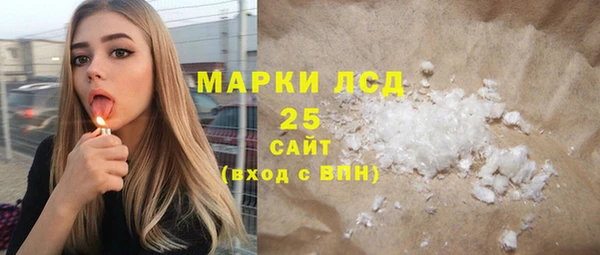 прущие грибы Бородино