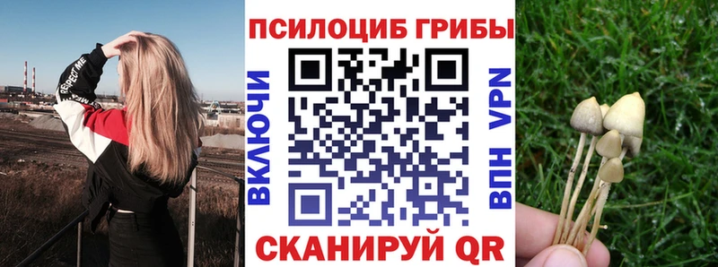 Галлюциногенные грибы MAGIC MUSHROOMS  купить закладку  Верхний Тагил 